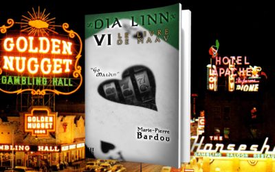 Les 10 (trèèès) bonnes raisons de lire Go Maidin, le tome 6 de Dia Linn :-)