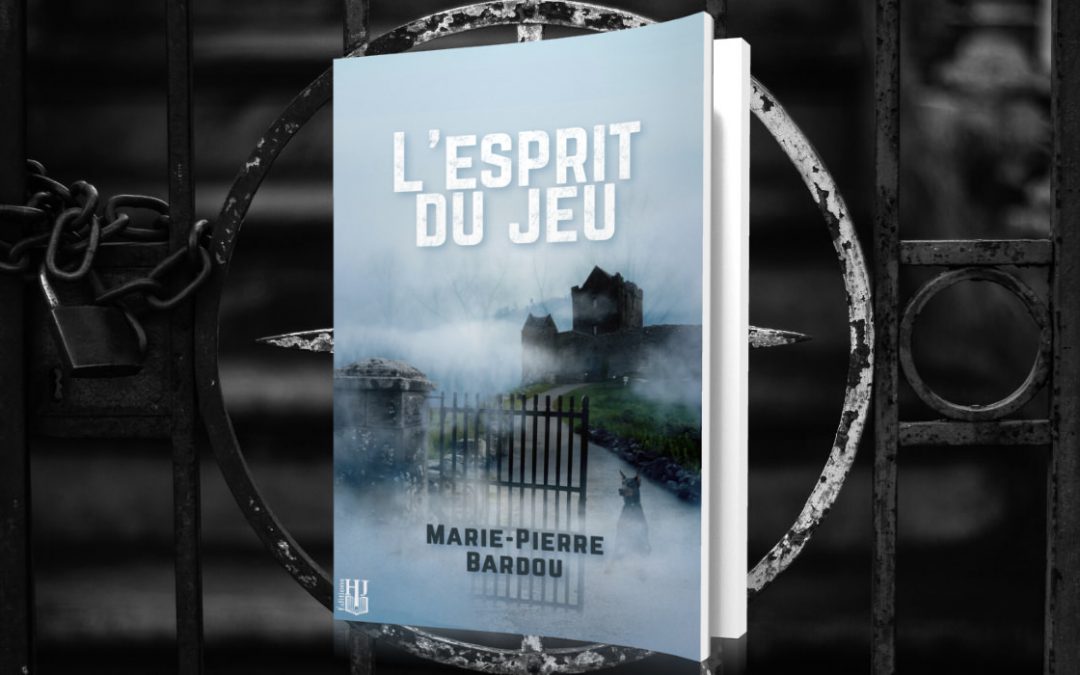 Les 10 bonnes raisons de lire L’Esprit du jeu (et plus si affinités)