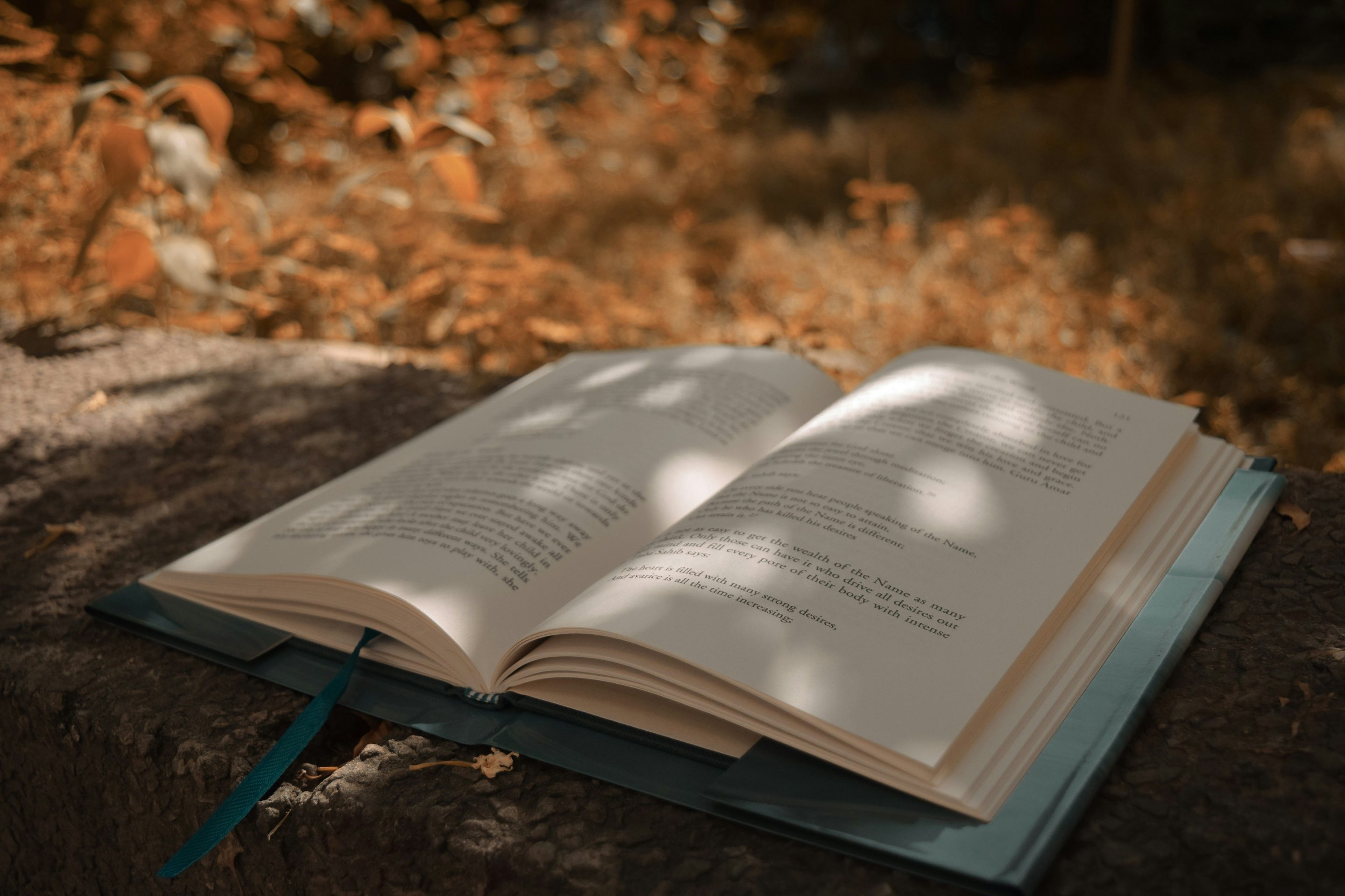 roman, écriture
